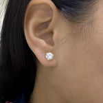 3 prong diamond studs in yellow gold